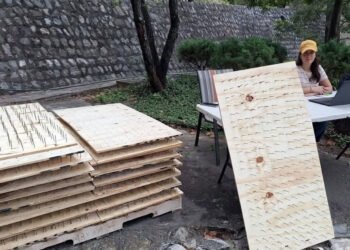 ¿Proteger las casas a costa de herir osos? Denunciarán reparto de tablas con clavos