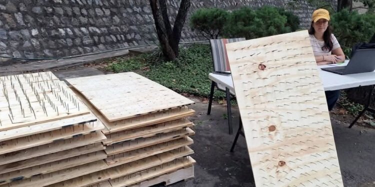 ¿Proteger las casas a costa de herir osos? Denunciarán reparto de tablas con clavos