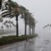 Alerta en el Pacífico: Polo alcanza categoría 5 y amenaza con lluvias destructivas