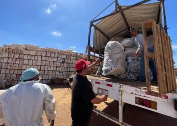 ¡Megarrecolección! Retiran 70 toneladas de envases de plaguicidas en Baja California