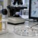 Microplásticos dentro del cuerpo: IPN los detecta en sangre y orina de habitantes de Oaxaca