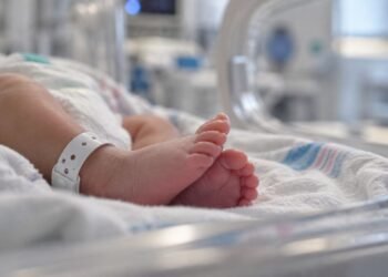 ¿En qué va el caso de los bebés fallecidos en IMSS de Durango? Esto es lo más reciente