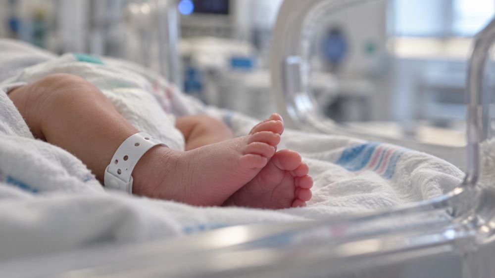 En qué va el caso de los bebés fallecidos en IMSS de Durango? Esto es lo más reciente - universodelsureste.com