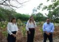 Mérida estrena su primer jardín de lluvia en Ciudad Caucel. Así luce