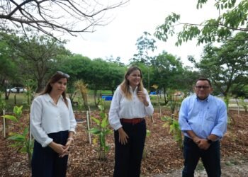 Mérida estrena su primer jardín de lluvia en Ciudad Caucel. Así luce
