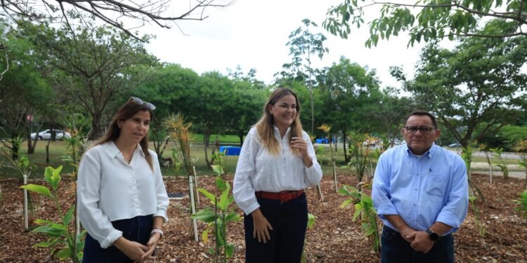 Mérida estrena su primer jardín de lluvia en Ciudad Caucel. Así luce