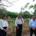 Mérida estrena su primer jardín de lluvia en Ciudad Caucel. Así luce