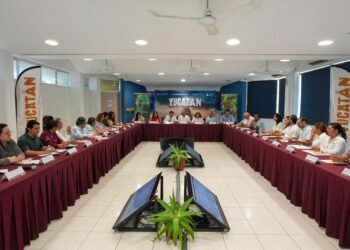Cruceros, vuelos e inversiones impulsan al turismo en Yucatán