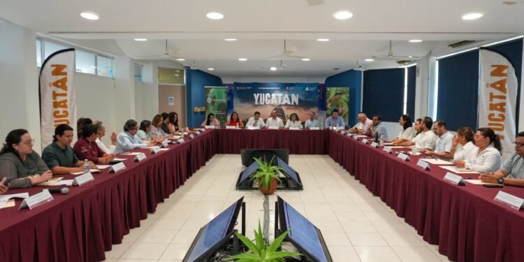 Cruceros, vuelos e inversiones impulsan al turismo en Yucatán