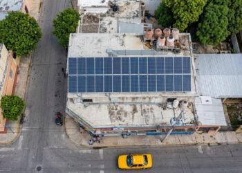 Plantas, baterías y paneles solares: la apuesta del comercio ante los apagones