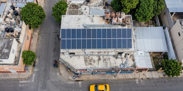 Plantas, baterías y paneles solares: la apuesta del comercio ante los apagones