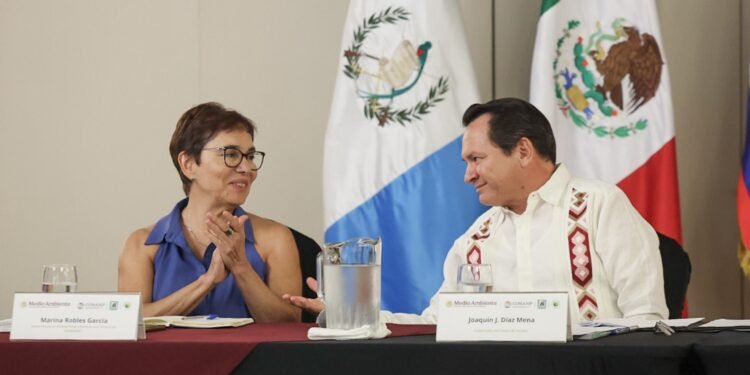 Buscan blindar el “corazón hídrico” de Yucatán: Puuc podría sumarse a la Gran Selva Maya