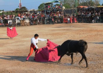 Golpe a los festejos taurinos: suspenden provisionalmente corridas en tres municipios