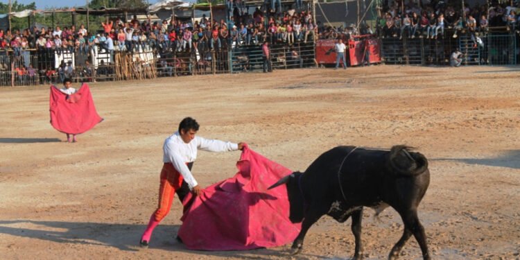 Golpe a los festejos taurinos: suspenden provisionalmente corridas en tres municipios