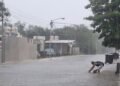 Onda tropical 37 golpea Mérida con lluvias, viento e inundaciones