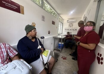 ¿Dónde esterilizar y vacunar gratis a perros y gatos? Abren nuevo centro