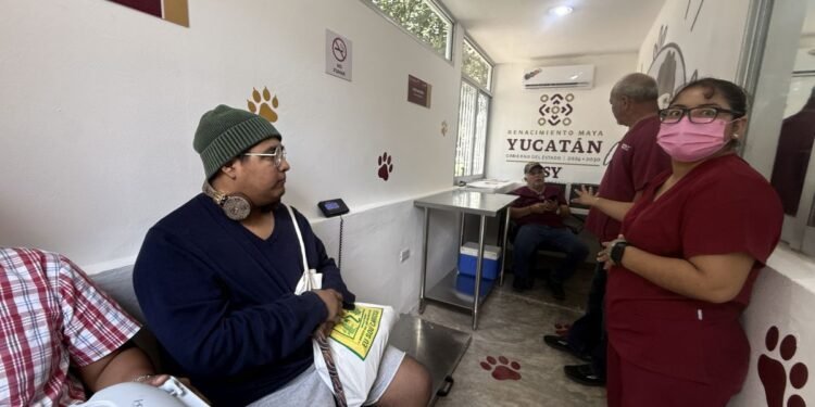 ¿Dónde esterilizar y vacunar gratis a perros y gatos? Abren nuevo centro