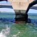 Derrame de hidrocarburo en Progreso: hallan fuga en ducto en desuso