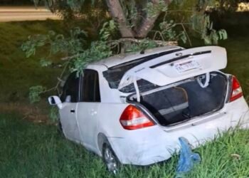 Fatal accidente en Mérida: conductor pierde el control y muere tras impactarse contra un árbol