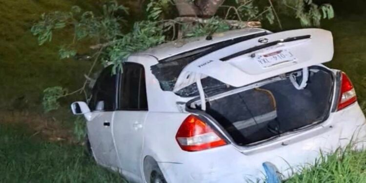 Fatal accidente en Mérida: conductor pierde el control y muere tras impactarse contra un árbol