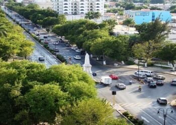 ¿Cuántos árboles tiene Mérida y qué tan sanos están? Buscan actualizar inventario rezagado desde 2021