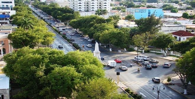 ¿Cuántos árboles tiene Mérida y qué tan sanos están? Buscan actualizar inventario rezagado desde 2021