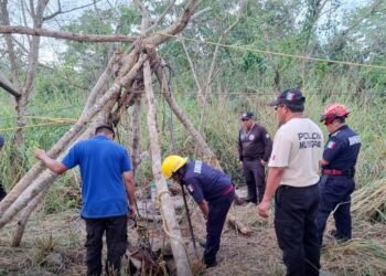 Yegua muere tras caer a un cenote en Suma de Hidalgo