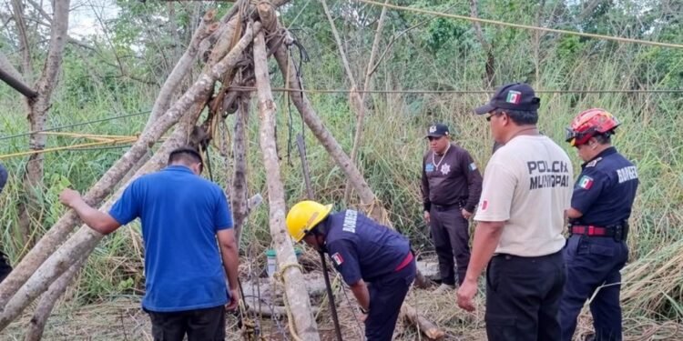 Yegua muere tras caer a un cenote en Suma de Hidalgo