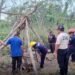Yegua muere tras caer a un cenote en Suma de Hidalgo