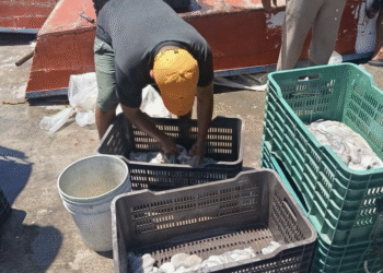 Pescadores denuncian extorsión y corrupción en Yucalpetén