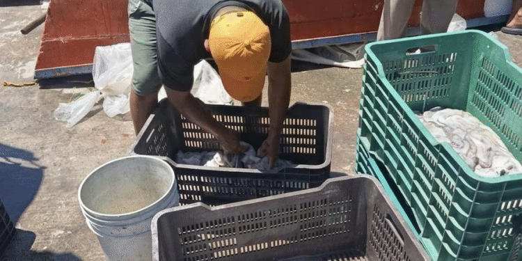 Pescadores denuncian extorsión y corrupción en Yucalpetén