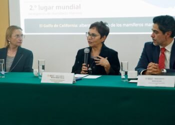 Del Golfo de California a Yucatán: México y Francia buscan reforzar protección de ecosistemas marinos
