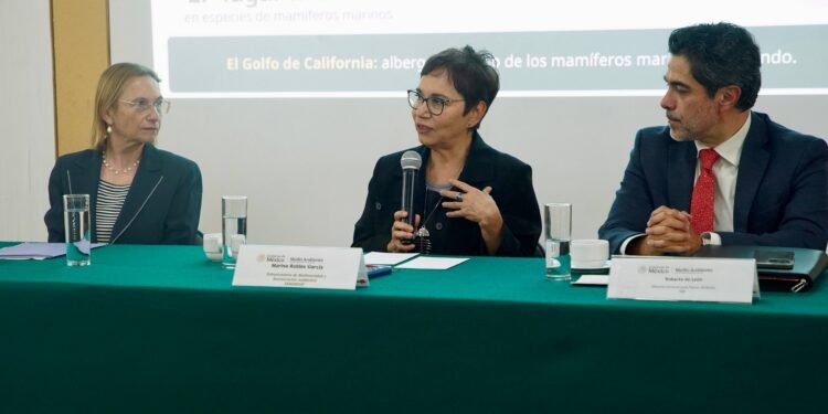 Del Golfo de California a Yucatán: México y Francia buscan reforzar protección de ecosistemas marinos