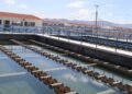 ¿Y si el agua que desechamos pudiera volver a utilizarse? El reto del saneamiento