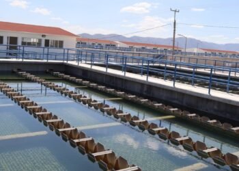 ¿Y si el agua que desechamos pudiera volver a utilizarse? El reto del saneamiento