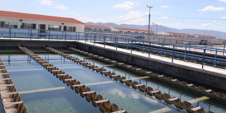 ¿Y si el agua que desechamos pudiera volver a utilizarse? El reto del saneamiento