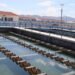 ¿Y si el agua que desechamos pudiera volver a utilizarse? El reto del saneamiento