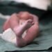 Final feliz para Bodoquito: descartan abandono y vuelve con su familia