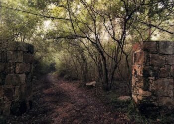 ¿Qué pasa en Cuxtal y por qué debería importarte? La reserva enfrenta nuevas amenazas