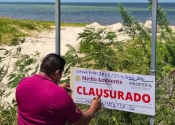 Maquinaria en la costa enciende alertas: clausuran predio en Chabihau