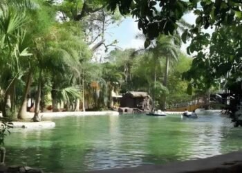 ¿Es seguro el lago de El Centenario? Esto dicen sobre la “ameba comecerebros”