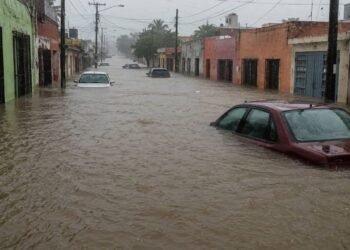 ¡El agua volvió a poner en jaque al sur! Inundaciones y viviendas afectadas