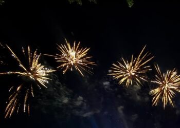 ¿Tradición o tranquilidad para las aves? Piden reducir la pirotecnia