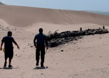 ¿Qué encontró Profepa en las costas? Operativo deja 18 clausuras y embarcaciones aseguradas en Yucatán