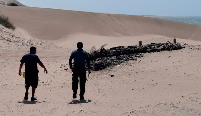 ¿Qué encontró Profepa en las costas? Operativo deja 18 clausuras y embarcaciones aseguradas en Yucatán