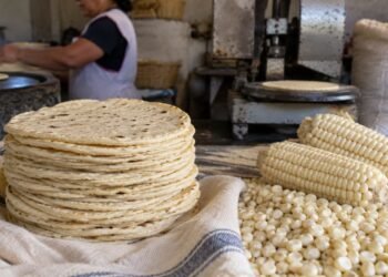 Tortilla más cara, ¿sí o no? Esto pasa con el abasto de maíz blanco