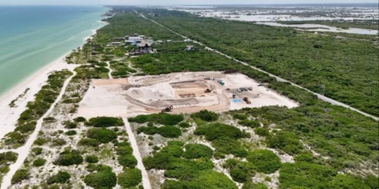 Dunas de Chuburná: juzgado ordena la suspensión definitiva del proyecto Auralux
