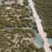 Manglares de Yucatán protegen la costa y enfrentan afectaciones