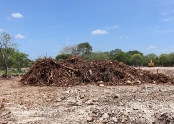 Basura y expansión inmobiliaria presionan a Cuxtal: presenta más de 20 denuncias