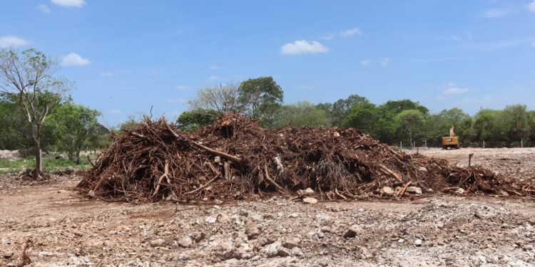 Basura y expansión inmobiliaria presionan a Cuxtal: presenta más de 20 denuncias